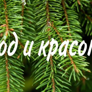 Уход и красота