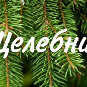Целебни